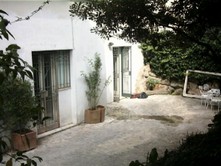 SDC10019.jpg