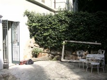 SDC10022.jpg