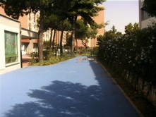 SDC10001.jpg