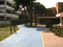 SDC10009.jpg